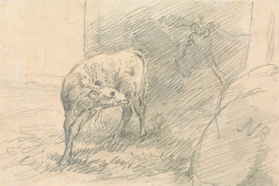 Bezerro, com cabeça de vaca de Sawrey Gilpin