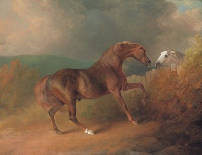 Júpiter do coronel Thornton, por Eclipse de uma égua por Tártaro, por uma cerca, com uma égua cinzenta, em Thornville Royal, 1792 de Sawrey Gilpin