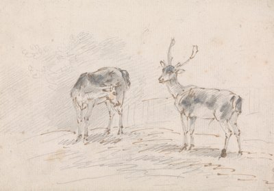 Corça e Buck de Sawrey Gilpin