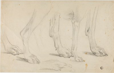 Patas de cachorro de Sawrey Gilpin