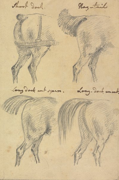 Quatro Esboços de Caudas de Cavalo de Sawrey Gilpin