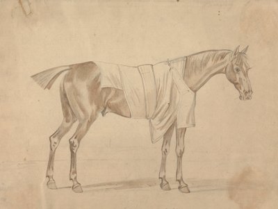 Cavalo Vestido de Cobertor de Sawrey Gilpin
