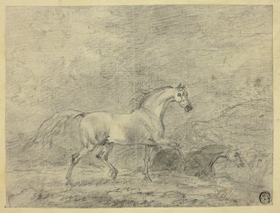 Cavalos de Sawrey Gilpin