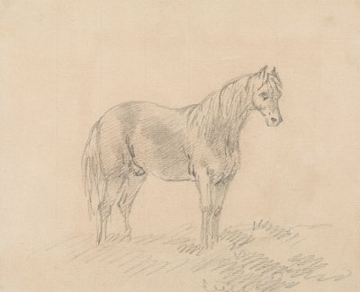 Cavalo Masculino de Sawrey Gilpin