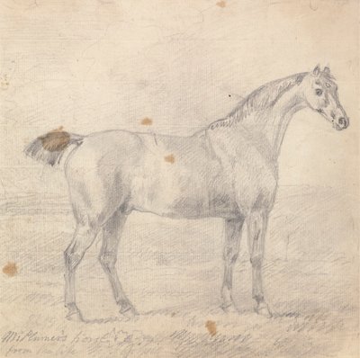 Sr. Cavalo de Plumer de Sawrey Gilpin
