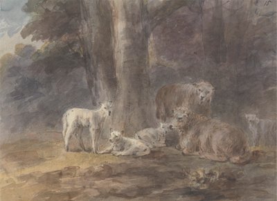 Ovelhas debaixo de uma árvore de Sawrey Gilpin