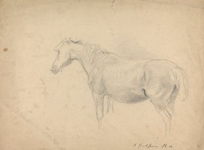 Esboço de um cavalo de Sawrey Gilpin