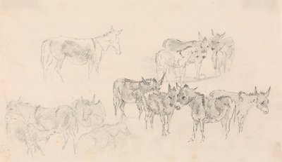 Estudos de burros de Sawrey Gilpin