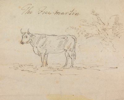 O Franco-Martin de Sawrey Gilpin
