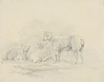 Três Ovelhas de Sawrey Gilpin