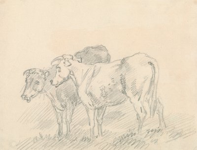 Duas Vacas de Sawrey Gilpin