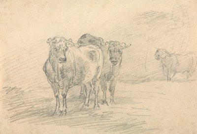 Duas vacas numa colina de Sawrey Gilpin