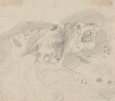 Dois Leopardos de Sawrey Gilpin