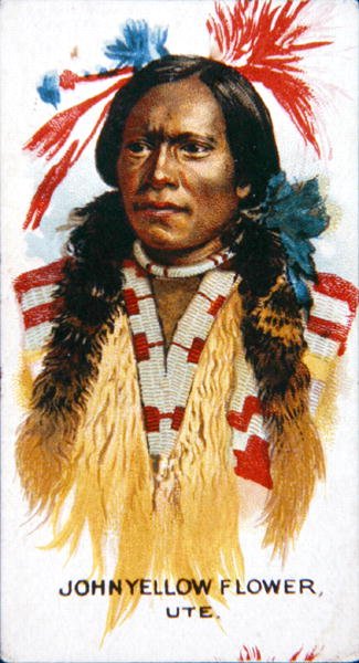 John Yellow Flower (cor litho) de School American