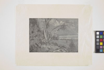 Paisagem (gravura em madeira) de School American