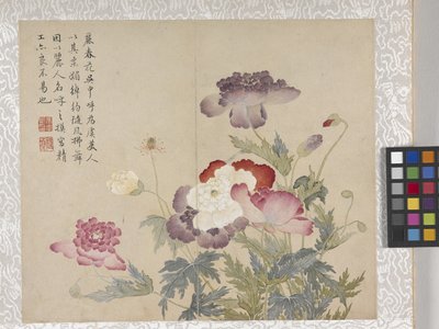 Álbum de 8 folhas de flores, meados de 1700 (tinta e cor sobre papel) de School Chinese