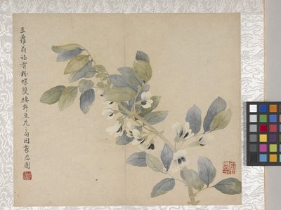 Álbum de 8 folhas de flores, meados de 1700 (tinta e cor sobre papel) de School Chinese