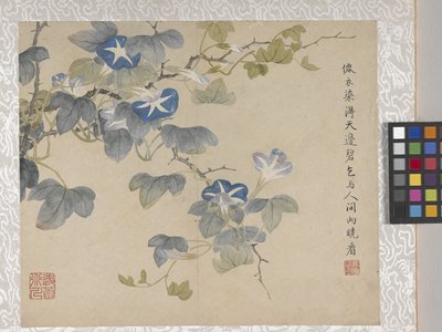 Álbum de 8 folhas de flores, meados de 1700 (tinta e cor sobre papel) de School Chinese
