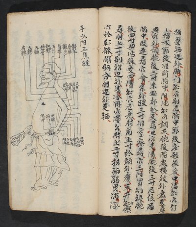 Pontos de acupuntura no braço, pescoço e base da cabeça, de Jing Guan Qi Zhi, 