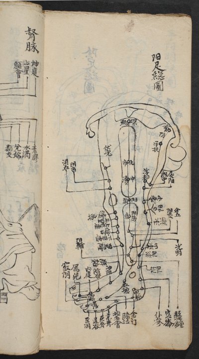 Pontos de acupuntura na perna, de Jing Guan Qi Zhi, 