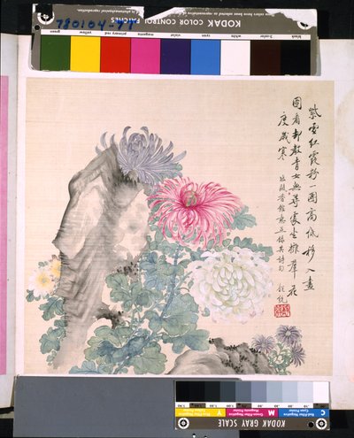 Álbum de flores e pássaros, data desconhecida (tinta e cor sobre seda) de School Chinese