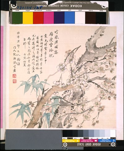 Álbum de flores e pássaros, data desconhecida (tinta e cor sobre seda) de School Chinese
