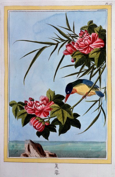 Bird on a branch (Bird fly?) Gouache do século XVIII Dijon, biblioteca municipal de School Chinese