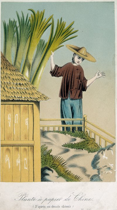 Fábrica de papel da China (cor litho) de School Chinese