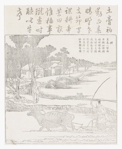 Arando com um búfalo em arrozal lamacento. de School Chinese