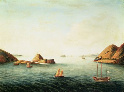 Vista da Boca Tigre no Rio das Pérolas, cerca de 1830 (óleo sobre tela) de School Chinese