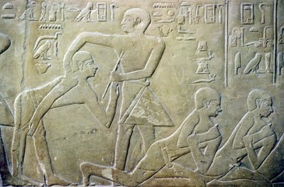 Antigo Egipto, Relevo, Anciãos das aldeias obrigados a admitir as suas declarações fiscais incorrectas aos funcionários, Túmulo de Merereuka, 6ª dinastia (foto) de School Egyptian