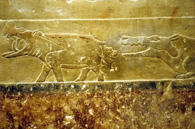 Antigo Egipto, Escultura mural/Pintura, Mastaba/Túmulo de Idout, Saqqara, 6ª Dinastia Hipopótamo dá à luz e cai presa de crocodilo que o espera (foto) de School Egyptian