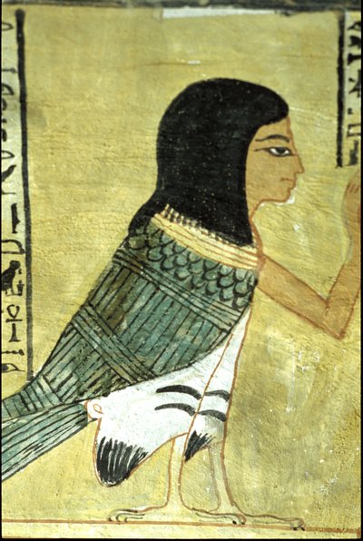 Antigo Egipto, Pintura mural Túmulo de Inherkhau, Tebas, Túmulo dos Nobres, 20ª dinastia, Ba ou alma de Inherkhau (foto) de School Egyptian