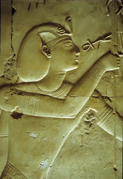 Antigo Egipto, Pintura/gravura mural, Seti I recebendo a vida, simbolizada pelo ankh, Templo de Seti I, Abydos de School Egyptian