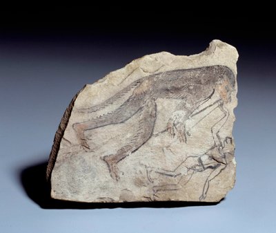 Antiquite egípcia: ostraca (ou ostracon) (plural: ostraca ou ostraka) (cerâmica) figura: macaco tocando flauta dupla (aulos) para fazer um homem dançar. Pedra em pedra calcária. 19ª dinastia (ca. 1295-1186). Do local de Deir el-Medineh (el Medineh). Sol 0, de School Egyptian
