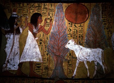 Luxor - Tebas: Margem esquerda do Nilo. Site de DEIR EL MEDINEH: Aldeia e necrópole de artesãos. Pormenor de um mural de um túmulo que mostra o bezerro, de pernas ainda finas e frágeis, encarna o futuro apis.19ª Dinastia. de School Egyptian