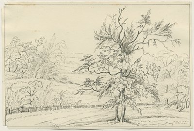 Cannock Chase: desenho a lápis e caneta, nd [?19 cent] (desenho) de School English