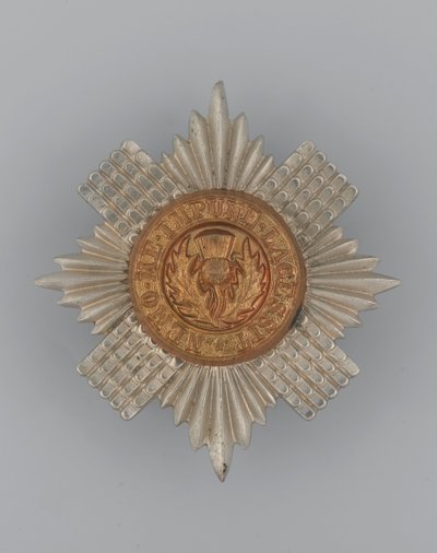 Crachá de boné, c.1896-1920 (metal) de School English