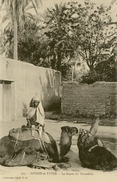 Le Repos du Chamelier, c.1890-1914 (foto a p/b) de School French