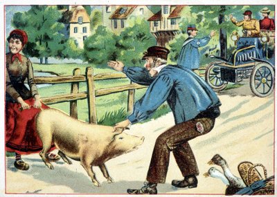 Porco que se recusa a seguir em frente e que barra a estrada para um automóvel - desenho. de School French