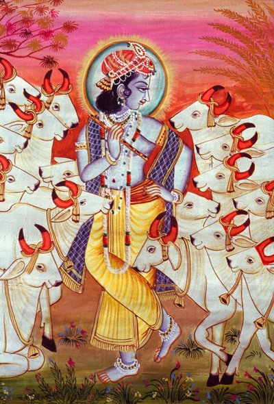 Pintura em miniatura do Senhor Krishna e vacas de School Indian