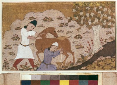 Onager Ordenha, final do século XV (aguarela, guache, cor branca, tinta sobre papel) de School Iranian