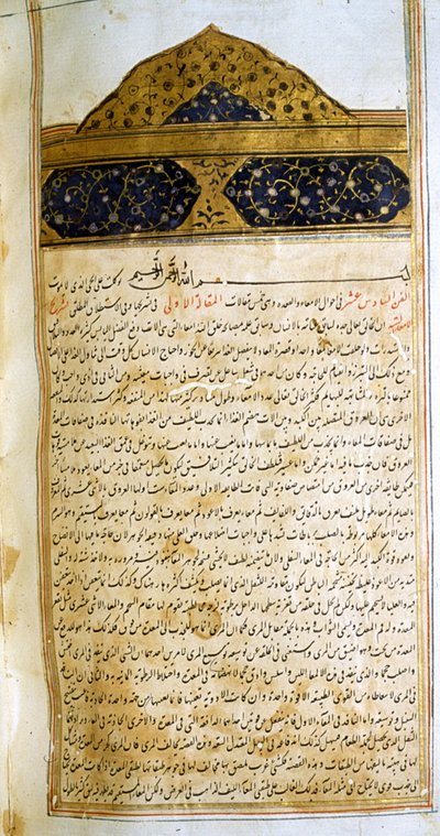 Página de O cânone da medicina (al-Qānūn fī aṭ-Ṭibb) de Avicena de School Iranian