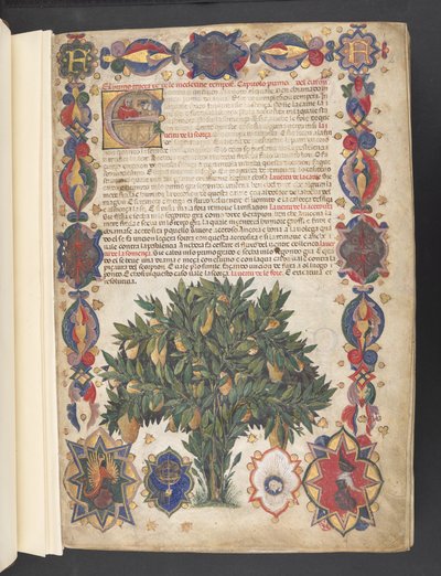 Egerton 2020 f.4r Borda cheia com decoração heráldica e inicial historiada 