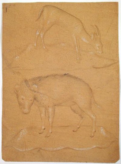 Estudo de uma cabra e de um javali (lápis e corpinho sobre papel) de School Italian