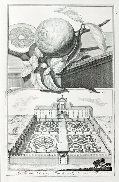 Vila do Marquês Spolverini de Verona, de "Villas, Jardins e Paisagens em Veneza" de A. Volkamer (gravura) de School Italian