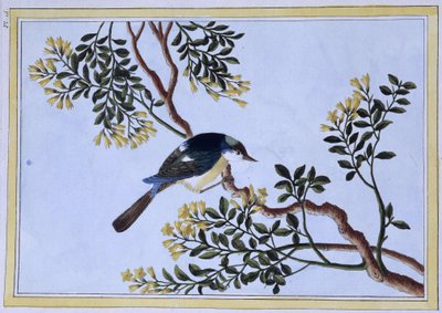 Bird - Impressão japonesa de Japanese School