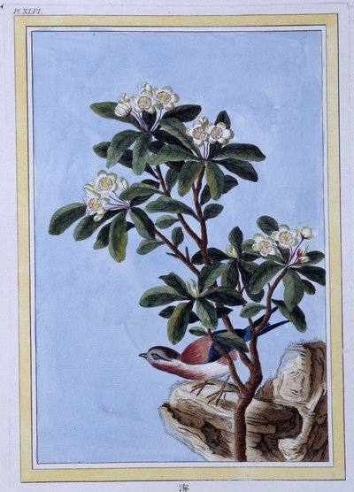 Bird - Impressão japonesa de Japanese School