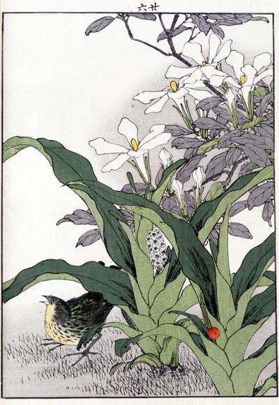 Pássaro nas flores - estampa japonesa de Japanese School