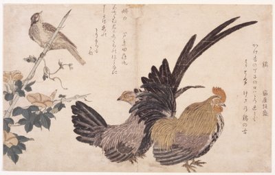 Galo, Galinha, e Pássaro de School Japanese